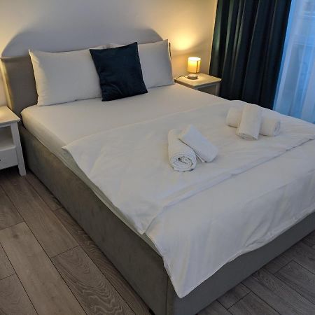 Alina'S Deluxe Apartment And Free Private Parking Dumbravita  Buitenkant foto