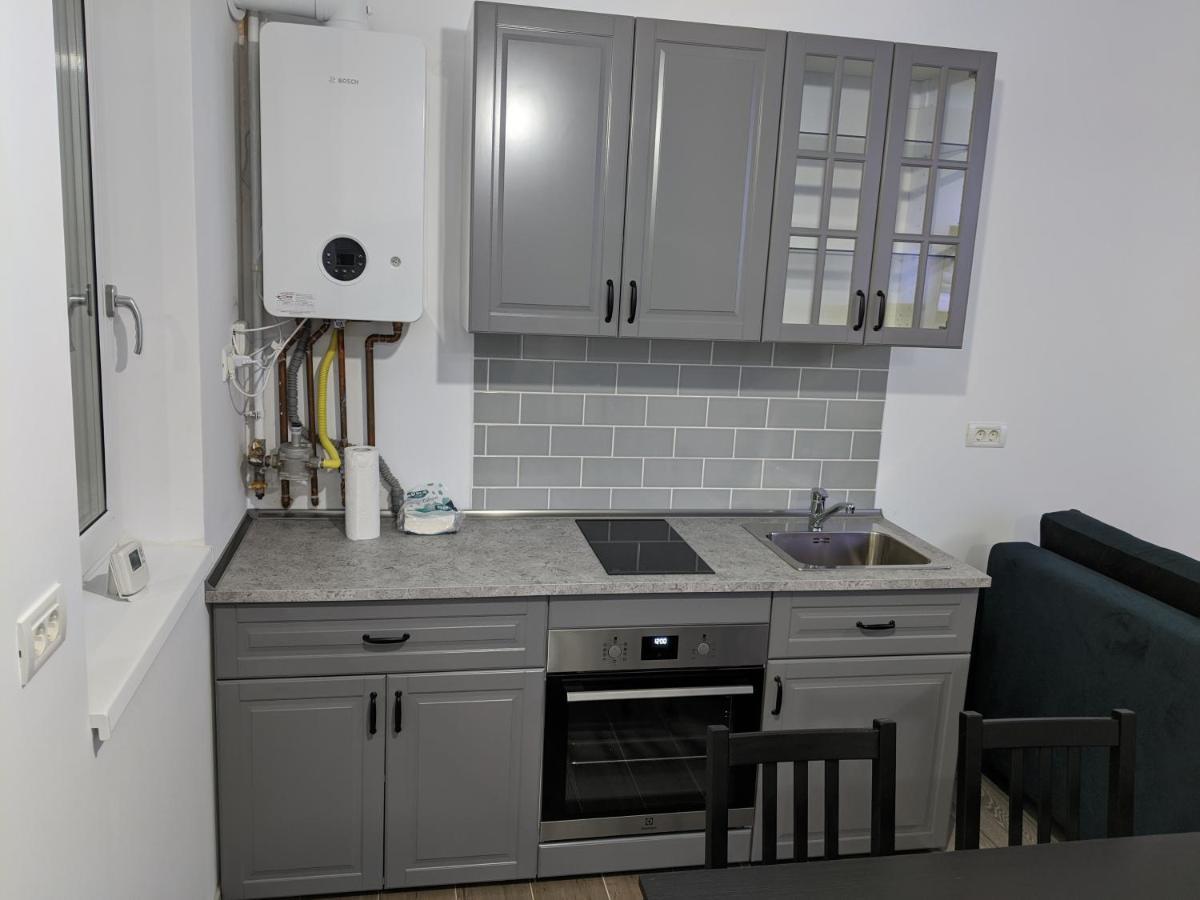 Alina'S Deluxe Apartment And Free Private Parking Dumbravita  Buitenkant foto