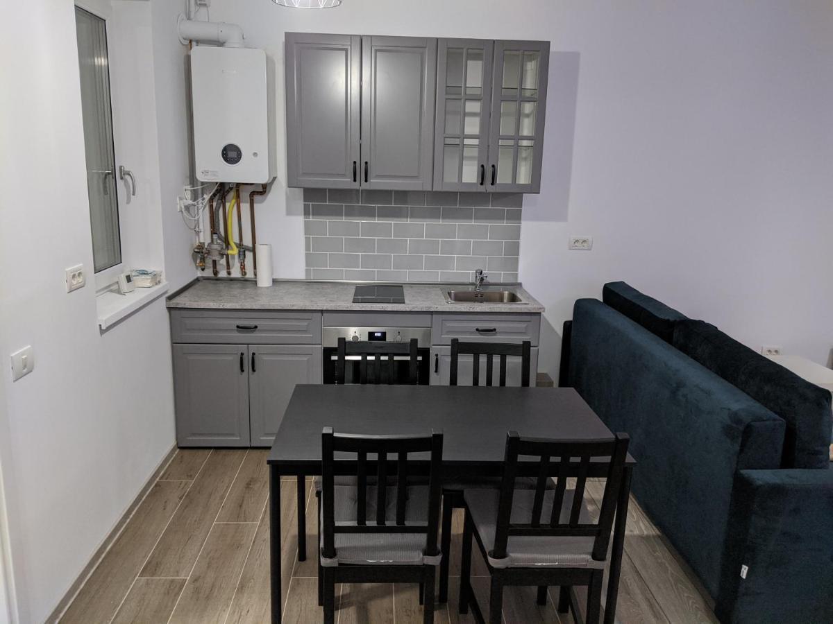 Alina'S Deluxe Apartment And Free Private Parking Dumbravita  Buitenkant foto
